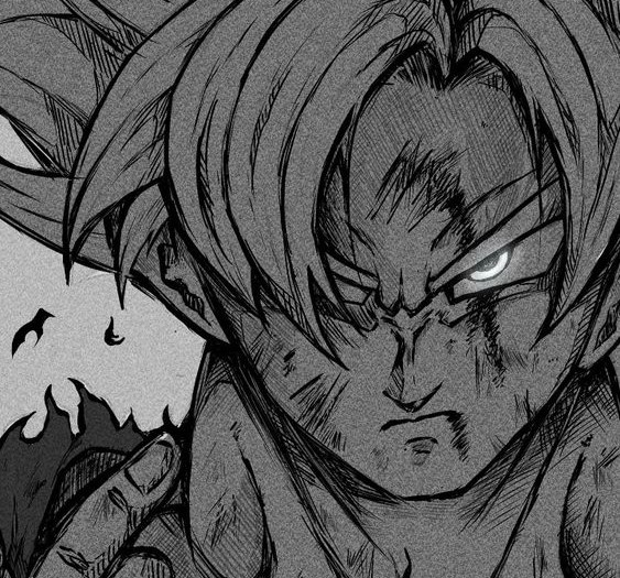 gokufs